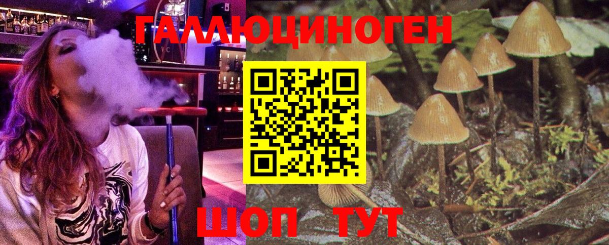 Псилоцибиновые грибы ЛСД Барабинск
